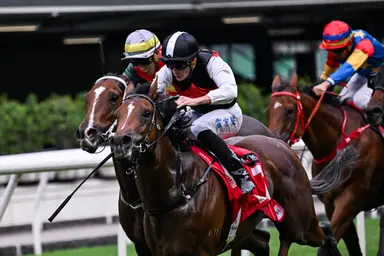 Promising newcomers Young Emperor and Romantic Son face off again at Happy Valley