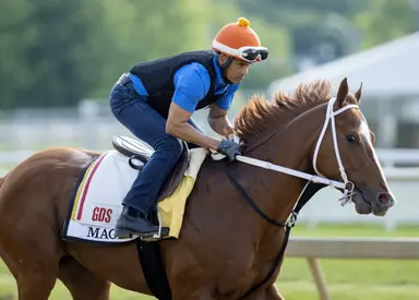 Fair odds for the Preakness: Value opportunities in short supply
