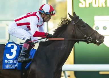 Weekend GamePlan: Picks for Jenny Wiley, Apple Blossom, Giant's Causeway