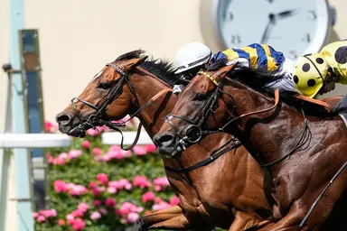 Lemaire has Japanese filly for homecoming in Jacques Le Marois