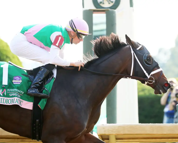 Eclipse Awards Idiomatic