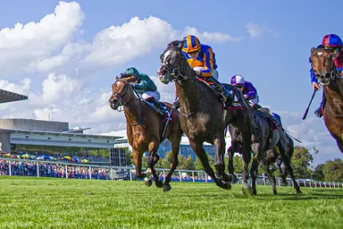 Auguste Rodin, Tahiyra take Group 1s, now eye potential Breeders' Cup starts