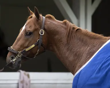 D'Amato pair should factor in deep turf mile