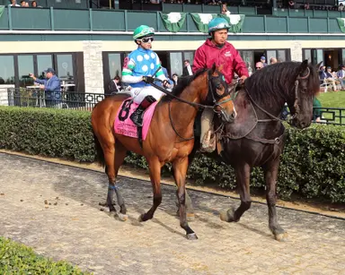 Off four-win day, Kimura takes aim at Aqueduct stakes