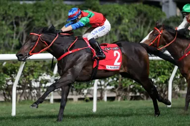Frankie Lor has Money Catcher on another LONGINES Hong Kong Cup trail