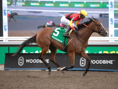 King's Plate pedigree profile: Essex Serpent