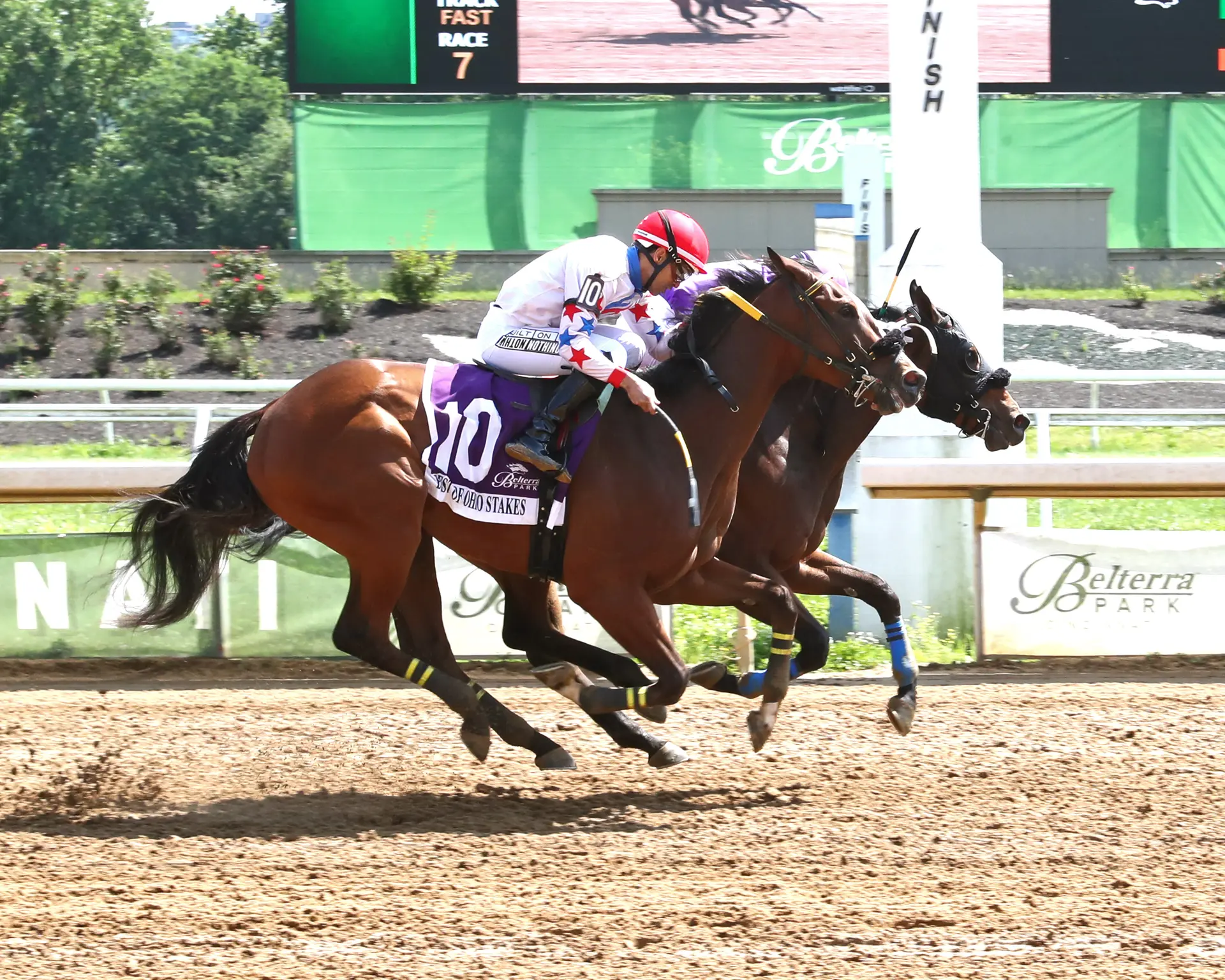 Water Into Wine awarded Green Carpet victory after disqualification