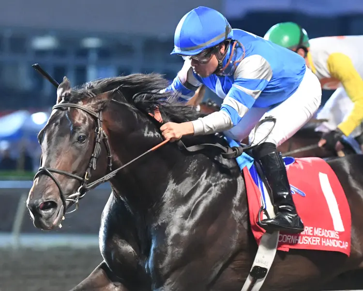GIANT GAME -  The Prairie Meadows Cornhusker Handicap - Grade III  - 07-08-23 - R08 - PRM inside action.jpg