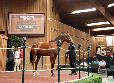 2023 Keeneland September yearling sale: Average, median show gains through Book 2