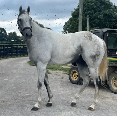 Welder moved to Old Friends