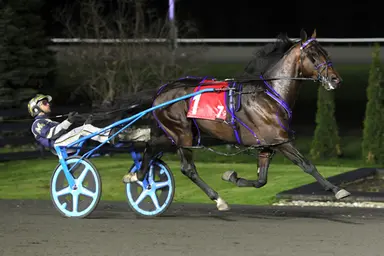Woodbine Mohawk Park: Two eliminations set for Saturday's North America Cup