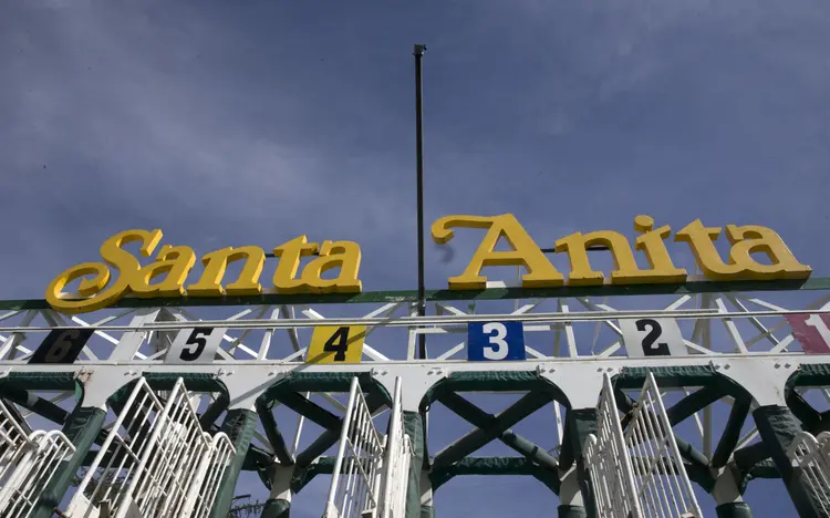 SA.starting gate02.2-9-17.BL_.jpg