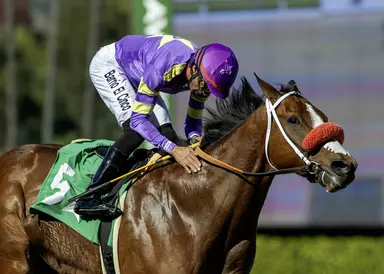 West Coast stallions: Straight Fire's move could heat up Washington breeding industry