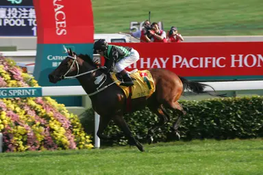 Felix Coetzee looks back on Sprinters Stakes win with icon Silent Witness