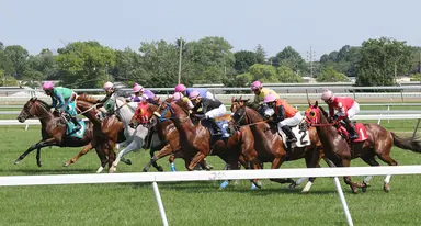 DRF's Horse Racing Playbook for Saturday, August 5, 2023