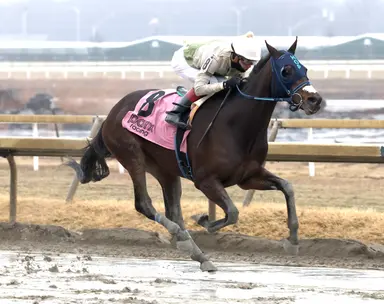 Red Zone Runner convinces Padilla he is ready for the Wood Memorial