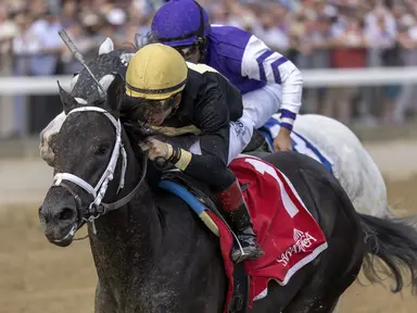 2023 Kentucky Derby pedigree profile: Instant Coffee