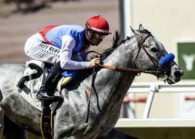 Top-priced 2-year-olds of 2025 find mixed success on track