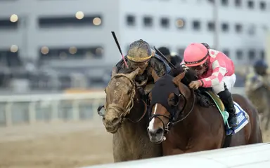 Kentucky Derby pedigree profile: Dornoch