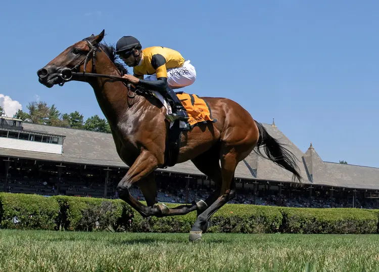 Battle of Normandy wins debut at Saratoga Aug 6 2022