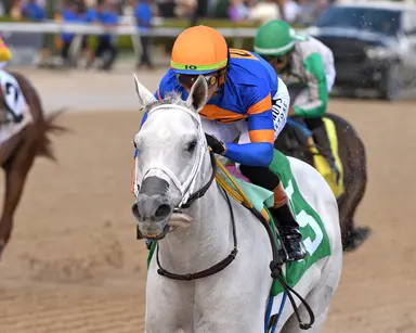 11-time winner Mish, debut winner Elnajd vie in sprint