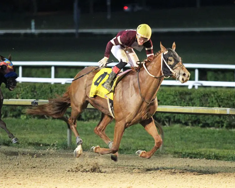 RED ROUTE ONE - The West Virginia Derby G3 - 53rd Running - 08-06-23 - R08 - Mountaineer Park - Finish 02.jpg
