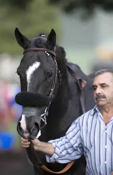 California remains second to Kentucky in number of mares bred