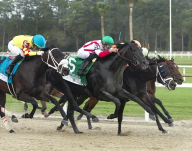 Brown could train Domestic Product up to Kentucky Derby