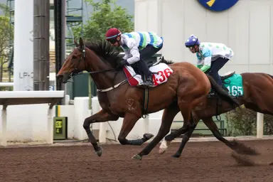 Voyage Bubble, Beauty Eternal limber up for LONGINES HKIR with trial wins