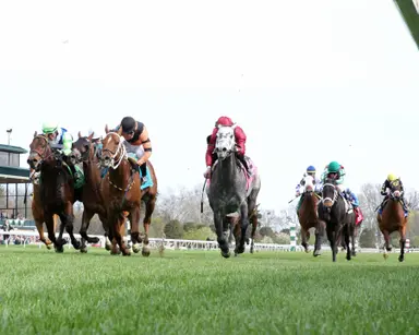 DRF's Horse Racing Playbook for Wednesday, October 25, 2023