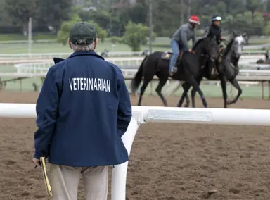 HISA to form Veterinary Advisory Committe