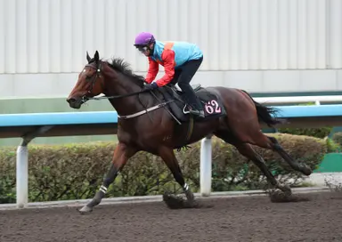 Dominant Ka Ying Rising continues march toward LONGINES Hong Kong Sprint defence