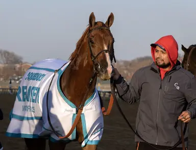 Paladin the individual favorite in fourth Kentucky Derby Future Wager pool