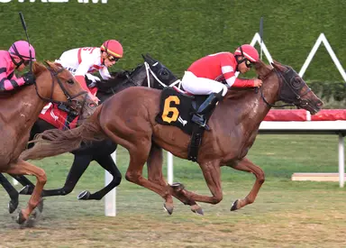 Turf sprint not as straightforward as it first appears