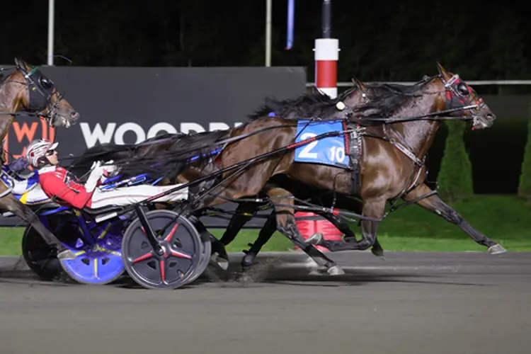 Ervin Hanover 10-18-25