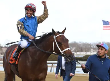 Flood Zone punches ticket to Kentucky Derby with upset in Gotham