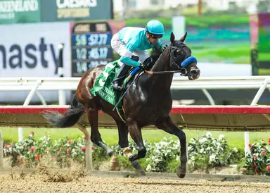 Kentucky Derby 2025: Baffert could run two in Saudi Derby