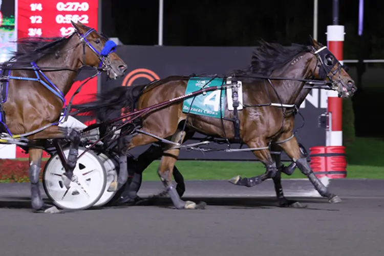 Breeders Crown Dead-Heat 10-25-25