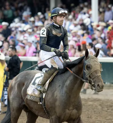 Sierra Leone, Honor Marie begin Belmont preparations