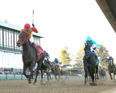 Kentucky Derby: Who's hot, who's not for Feb. 26, 2025