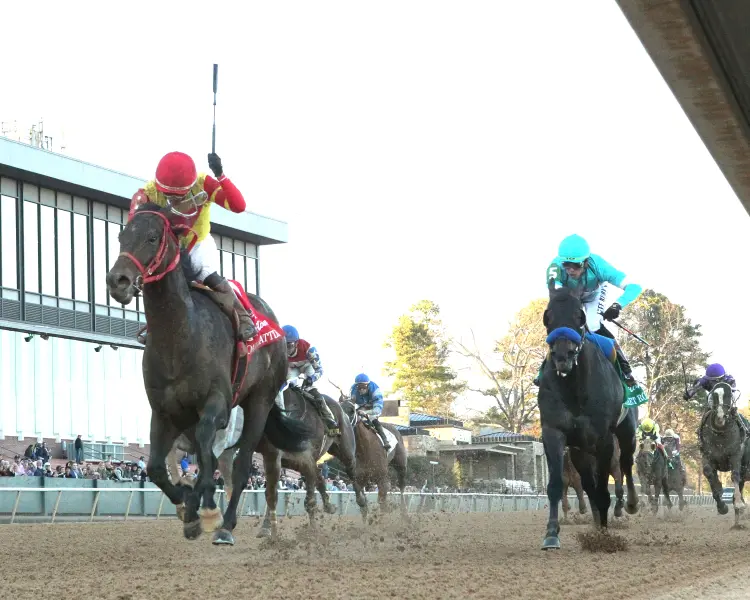 COAL BATTLE - The Rebel Stakes G2 - 65th Running - 02-23-25 - R11 - Oaklawn Park - Under Rail 01 - John Gallagher.jpg