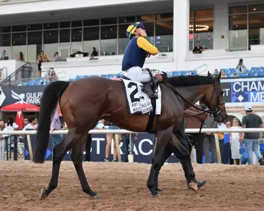 Wolfie's Dynaghost makes his return in Canadian Turf