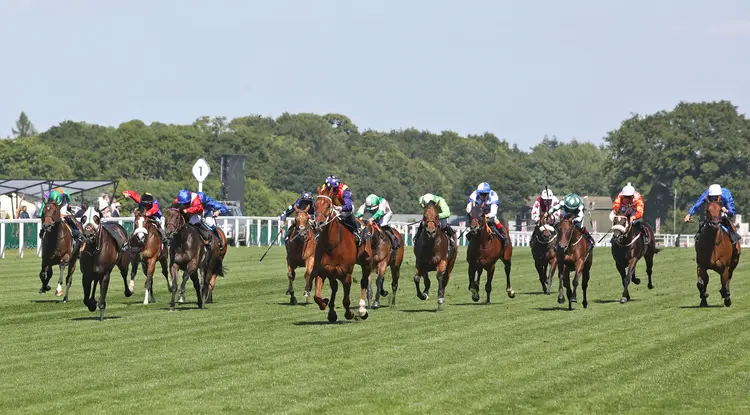 Ascot.Scenic04.Nature Strip.6-14-22.ESH_.jpg