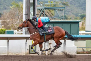 History beckons as Ka Ying Rising excels in barrier trial lead-up to Queen’s Silver Jubilee Cup