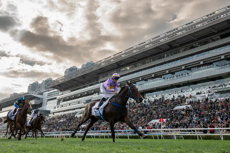 20260201 HK Classic Mile - Little Paradise.png