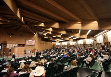 Fasig-Tipton and Keeneland announce sale dates collaboration