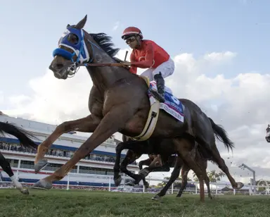 Weekend GamePlan: Picks for Tampa Bay Derby, Frank E. Kilroe Mile, Hillsborough