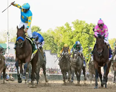 Kentucky Derby 2025: On 10th anniversary, American Pharoah could become classic sire