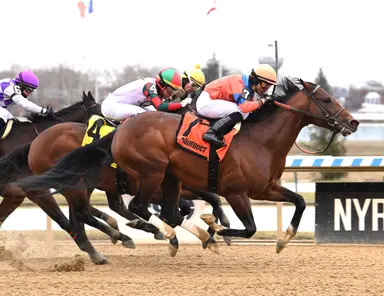 Weekend GamePlan: Picks for Turf Dash, Gulfstream Park Sprint, Heavenly Prize