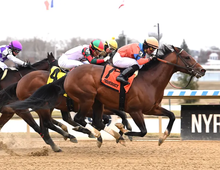 American Monarch wins at AQU Dec 31 2023